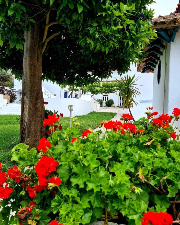 Oryza Guest House& Suites Coimbra Exterior foto