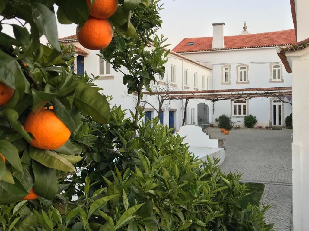 Oryza Guest House& Suites Coimbra Exterior foto